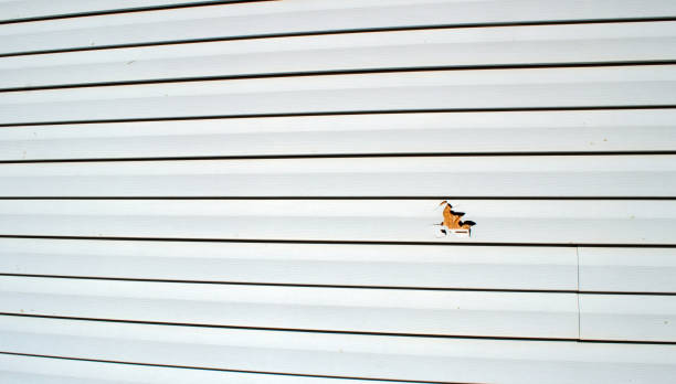 Best Steel Siding Installation  in Del Rio, CA